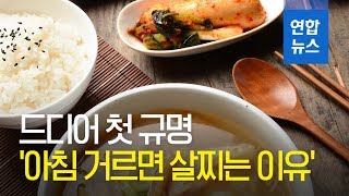 '아침 식사 거르면 살찌는 이유' 처음으로 밝혀져 / 연합뉴스 (Yonhapnews)