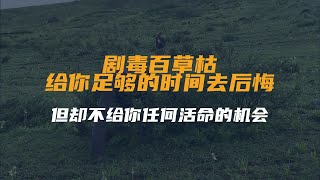 剧毒百草枯：给你足够的时间去后悔，但却不给你任何活命的机会