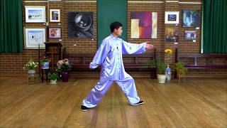 Tai Chi 40 Form Step by Step Instructions (Paragraph 5)