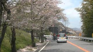 大分熊本県道11号　別府一宮線　別府市浜脇～由布院駅