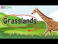 Grasslands