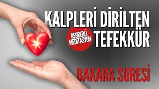 Kalpleri Dirilten Meditasyon | Rehberli | Derin Tefekkür | Huzur ve Anlam Arayışı #meditasyon