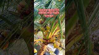 শুক্রবার জুমার দিন নবীজি দোয়া পরতে বলেছেন #trending #shortvideo #shortsvideo @nadiasvlog8338