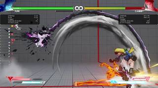 Bboy.exe Juri DMG + Corner Carry