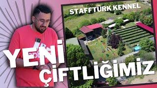 YENİ ÇİFTLİĞİMİZ - STAFFTURK KENNEL