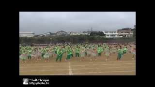 2013 七里ガ浜高校体育祭 黄色組ダンス