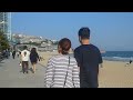 부산 해운대 탐방 haeundae in busan