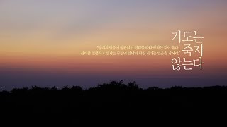 [수요 기도회] 2018.11.28(수)