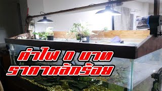 เปิดกล่องรีวิว! โคมไฟวินเทจ solar cell หลอดคู่ ไฟโซล่าเซลล์ 2 ดวง  410w ราคาหลักร้อยใช้งานจริงเป็นไง