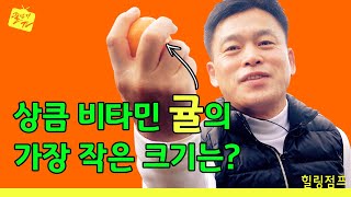 [제주 감귤박물관] 사람 머리만한 귤이 있다면^~~ 제일 작은 귤의 크기는? / 김수열의 힐링점프