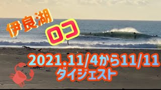 【伊良湖☆ロコ】2021.11.4〜11.11