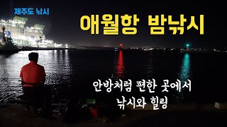 〔4K영상〕제주도낚시- 애월항 밤낚시//한치 낚시 고수들의 유쾌한 소동//안방처럼 편한 곳에서 낚시와 힐링