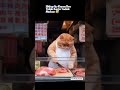 Dari Tadi gada yang Beli daging gua 😢 #funny #catcomedy #catvideos #funnycats #funnyvideo #shorts