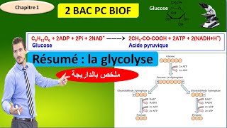 Résumé : La glycolyse svt 2 bac pc biof (أسهل ملخص بالداريجة)