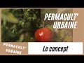 Comment et où faire de la permaculture à Dijon ? Découvrez Permacult'Urbaine