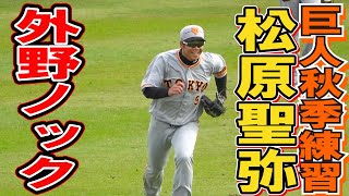 巨人守備練習　外野ノック　松原聖弥（仙台育英ー明星大）【巨人秋季練習2022年】読売ジャイアンツ　プロ野球ニュース