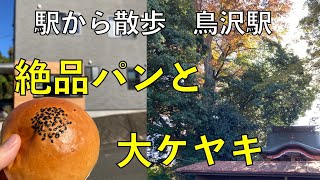 絶品パンと大ケヤキ【鳥沢駅・駅から散歩】