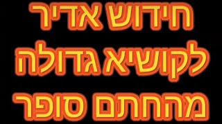 חידוש אדיר מאת החתם סופר לקושיא עצומה שמתעוררת על ספר דברים