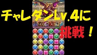 【パズドラ】チャレンジダンジョンLv.4に挑戦！【実況】