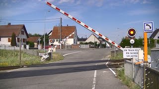 Spoorwegovergang Bischwiller (F) // Railroad crossing // Passage à niveau