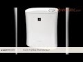 Are Air Purifiers Worth Buy