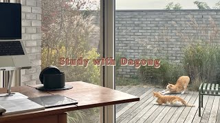 [Study with me] 같이 공부해요 | 장작타는소리(firecrackling sound) | 1Hour