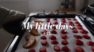 #35 旅行の思い出を閉じ込める🍃バジルペーストとセミドライフルーツ🍑🍓/手作り濃厚アイスクリーム🍨/オリジナルの配合で試してみる麹調味料/旅行のお土産たち🌲