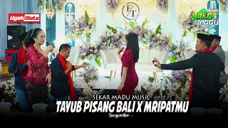 TAYUB GLEERR - PISANG BALI - MRIPATMU - SEKAR MADU - UYAH MOTO CREATIVE - JHONT AUDIO