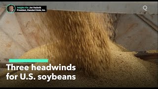 U.S. Soybean Farmers Face Headwinds