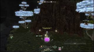 Final Fantasy XIV Dawntrail 7.11 stuffs