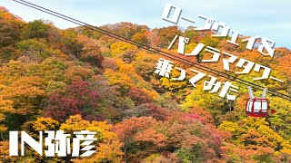 紅葉を見にロープウェイ＆パノラマタワー乗ってみた【弥彦】