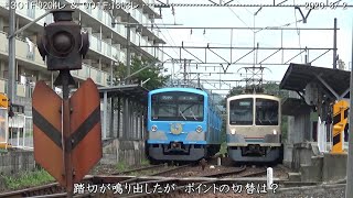 近江鉄道　300形　デビュー！　新『あかね』号と対向　　　　　　　　　　　　巛巛