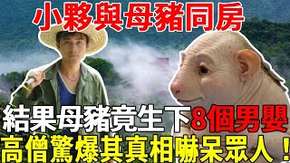 小夥與母豬同房，結果母豬竟生下8個男嬰，高僧見後爆出驚人真相，全場嚇呆！#聽佛