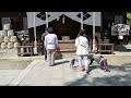 【武田信玄ゆかりの地】武田氏の本拠地、武田神社へ行きました！takeda shrine kofu city