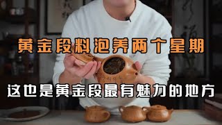 黄金段泥料景舟石瓢壶，自用两个星期，泡养效果非常惊艳