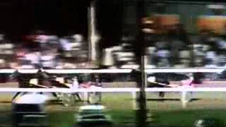 Inter Dominion Trotting Championship 1980 -Hano Direct