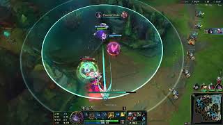 Poppy Highlight