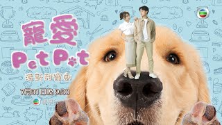 寵愛Pet Pet ｜以狗狗「冬甩」視角，介紹「媽咪」林夏薇同「爹哋」周嘉洛｜寵物｜劇集｜港劇｜電視劇