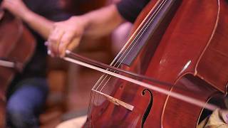 Introducing Lineage Strings