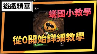 【遊戲精華】蟻國小教學 小小蟻國｜小小蟻國從0開始的攻略教學｜【金次】