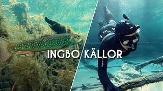 Crystal Clear Spring 2h North of Stockholm?! | INGBO KÄLLOR