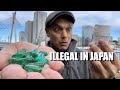 Bringing Medication into Japan | OTC & Prescription Banned List