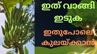 രണ്ട് രൂപ ചിലവ് മാത്രം ഒരു കിലോ വളത്തിന്