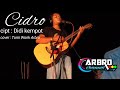 Cidro - Didi Kempot || Cover Akustik Tomi Wonk Arbro