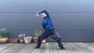 Bagua Zhang - Follow Along / Warm Up #1