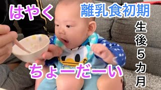 【生後5ヶ月】食欲ありすぎる赤ちゃん【離乳食】