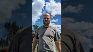 com101 reflection video