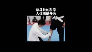 格鬥技的科學, 人體擊倒開關｜穴位格鬥科學 ＃shorts