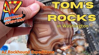 Rockhounding in Tom’s Backyard! You can too!!