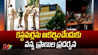 Hyderabad : జూబ్లీహిల్స్ జోరా పబ్ యజమాని అరెస్ట్ | Ntv